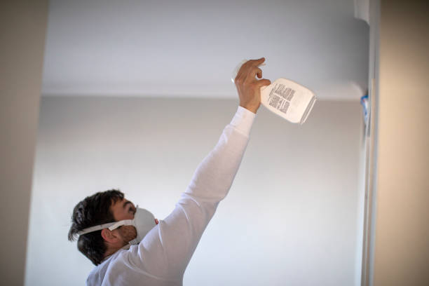 Best Mold Cleaning Services  in Kinder, LA