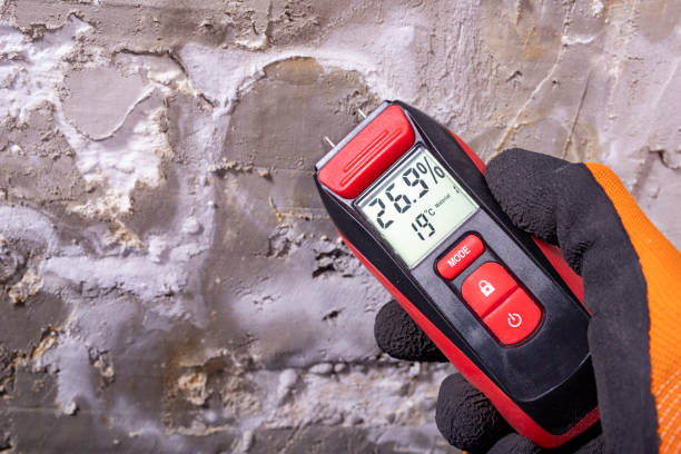 Best Crawl Space Mold Removal  in Kinder, LA