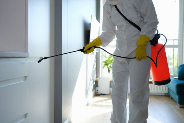 Best Mold Testing  in Kinder, LA