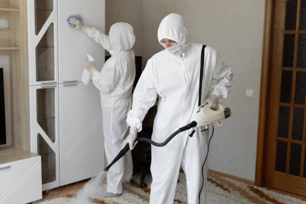 Office Mold Removal Services in Kinder, LA