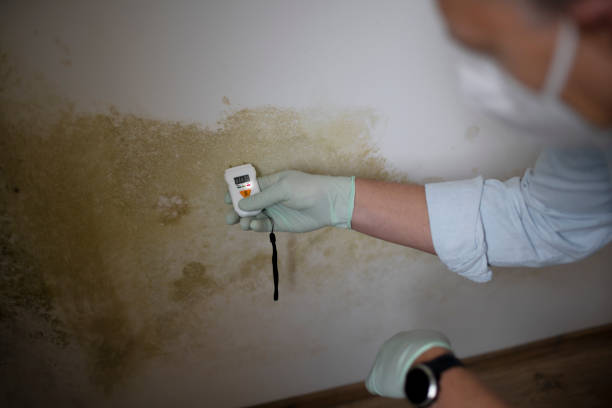 Best Mold Testing  in Kinder, LA