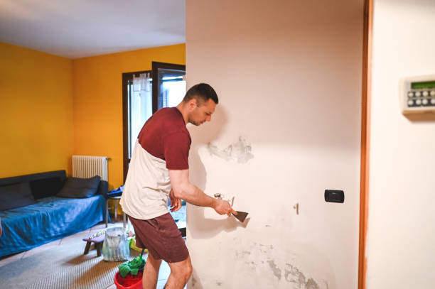 Best Black Mold Removal  in Kinder, LA